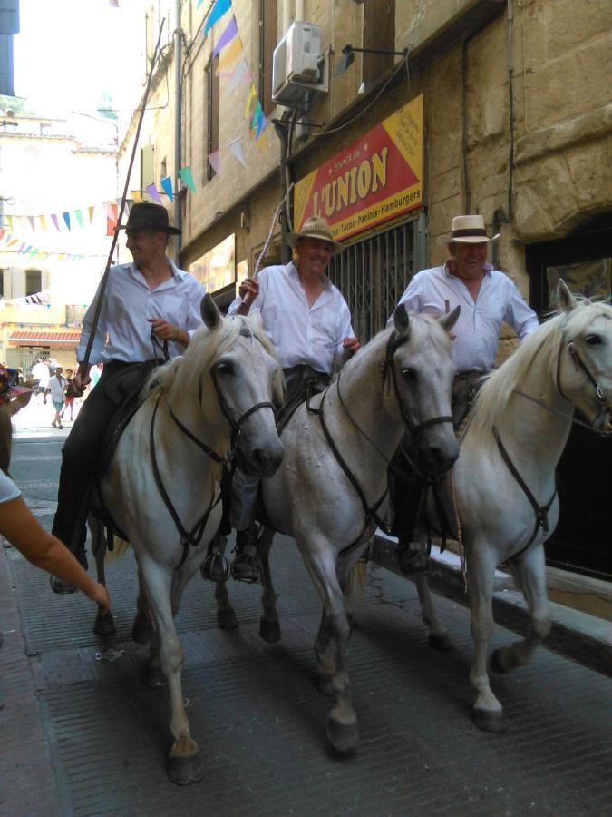 Camargue Vila Beauvoisin  Exterior foto